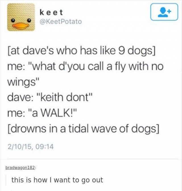 Funny Memes (20 pics)