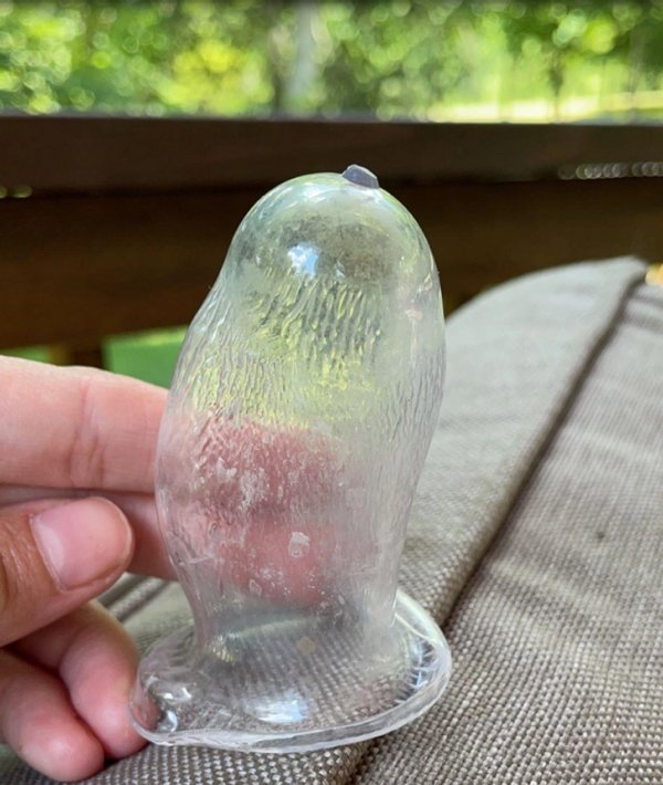 What Are These Things? (14 pics)