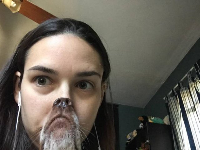 People Share Their Favorite Pets (21 pics) People Share Their Favorite Pets (21 pics)