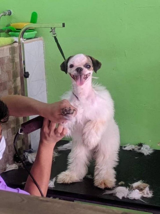 People Share Their Favorite Pets (21 pics) People Share Their Favorite Pets (21 pics)