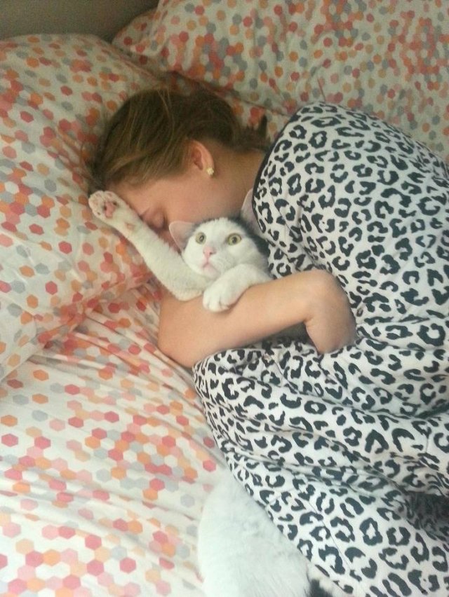 People Share Their Favorite Pets (21 pics) People Share Their Favorite Pets (21 pics)