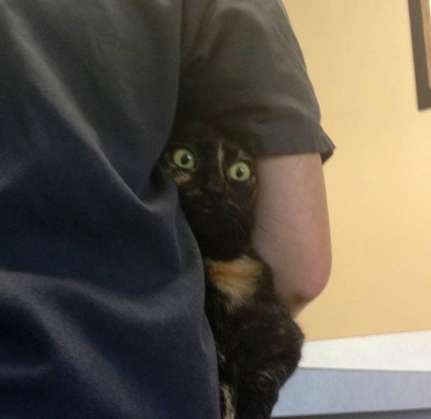 People Share Their Favorite Pets (21 pics) People Share Their Favorite Pets (21 pics)