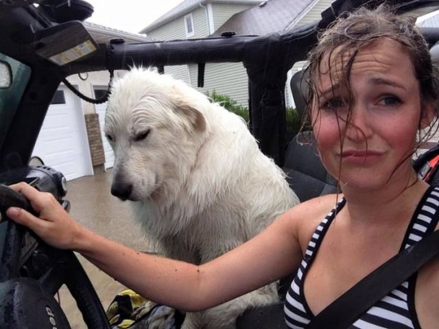 People Share Their Favorite Pets (21 pics)