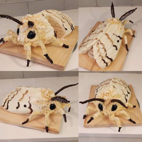 Unusual And Fantastic Cakes (32 pics)