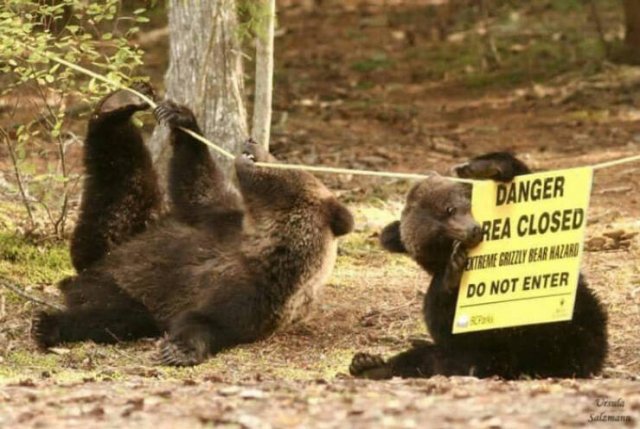 Funny Signs (24 pics)