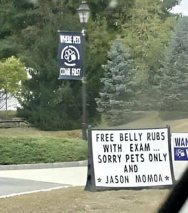 Funny Signs (24 pics)