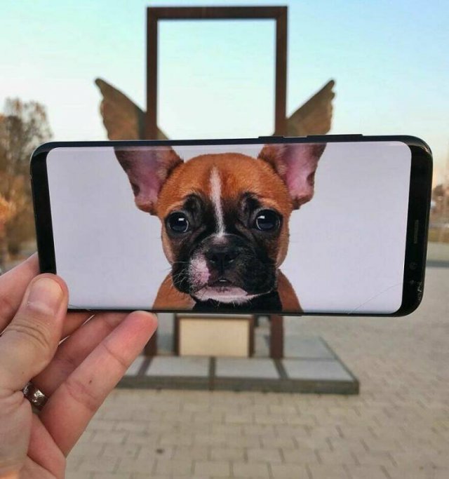 Amazing Photos With Phone (23 pics)