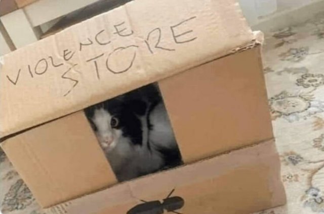 Funny Signs (24 pics)