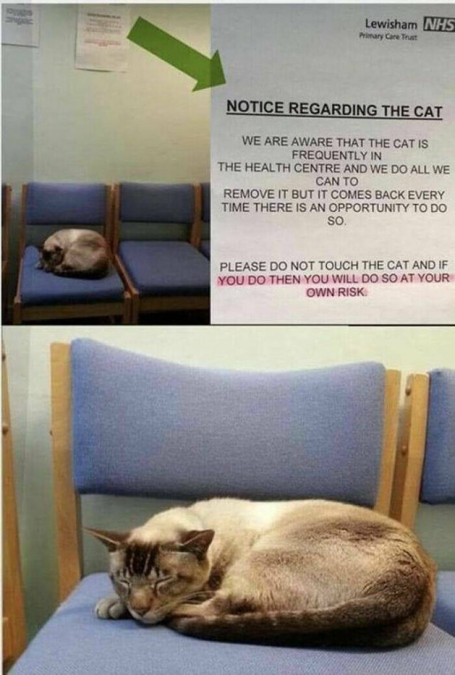 Funny Signs (24 pics)
