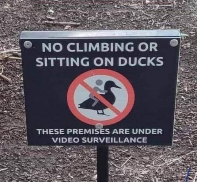 Funny Signs (24 pics)