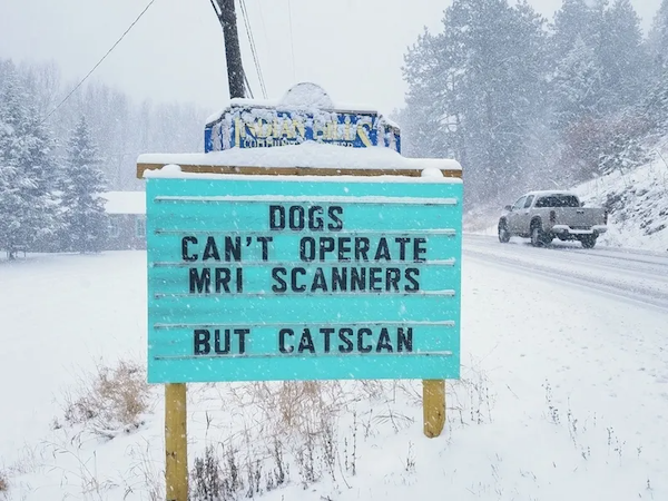 Clever Jokes And Ideas (36 pics)