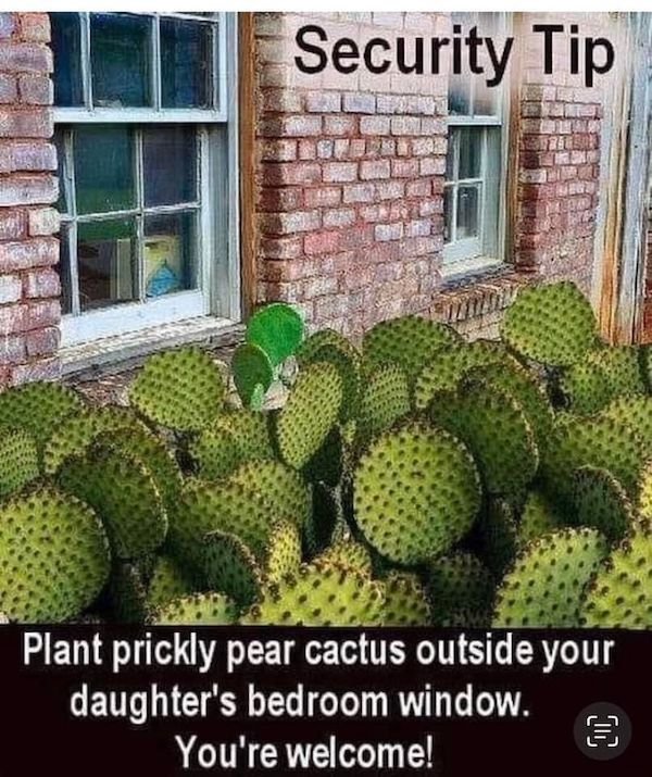 Clever Jokes And Ideas (36 pics)