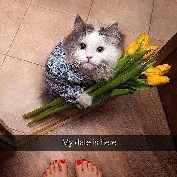 Arrogant But Cute (28 pics)