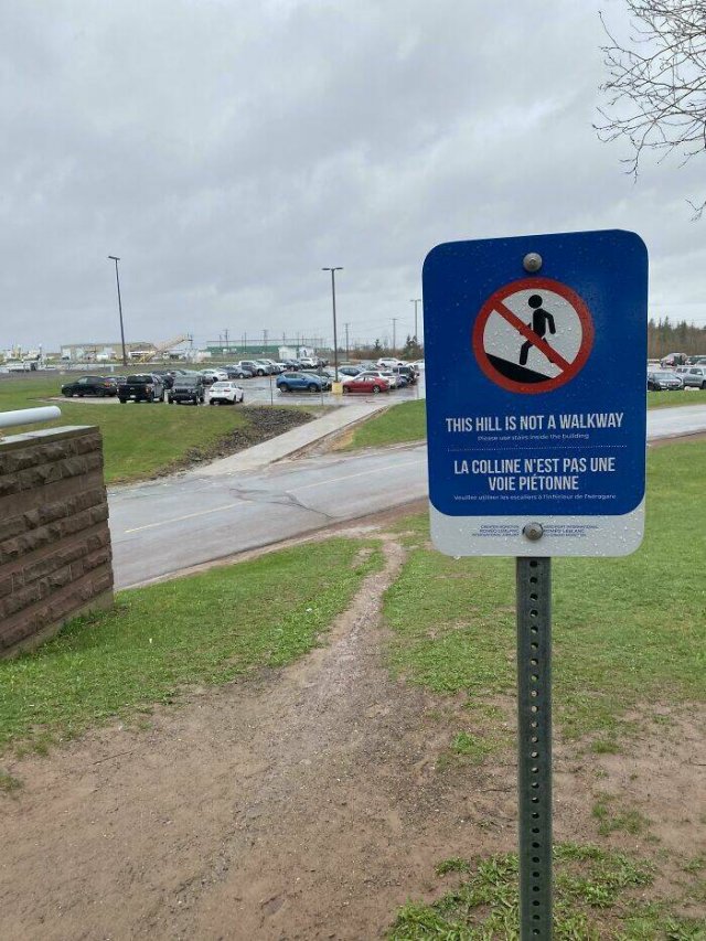 The Way People Really Walk (22 pics)