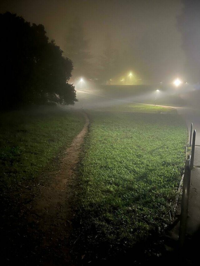 The Way People Really Walk (22 pics)