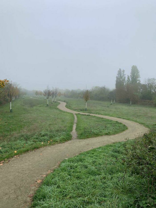 The Way People Really Walk (22 pics)