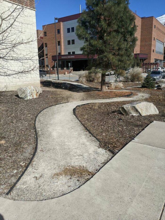The Way People Really Walk (22 pics)