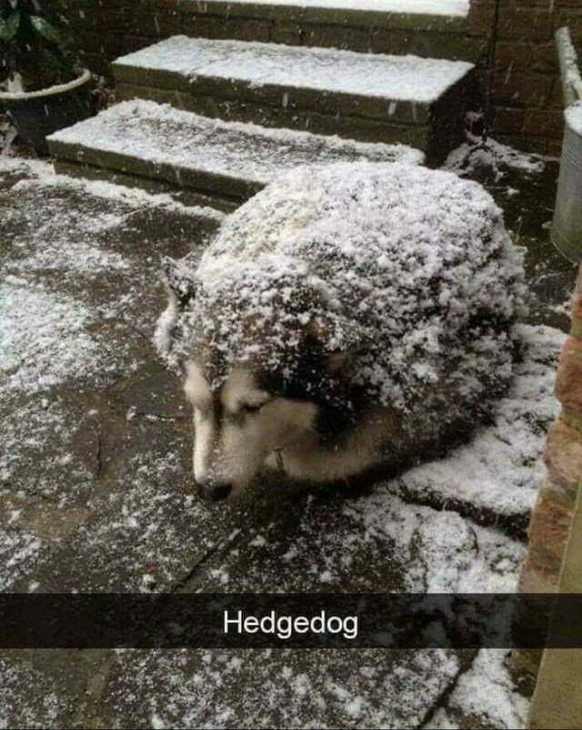 Funny Jokes And Finds (23 pics)