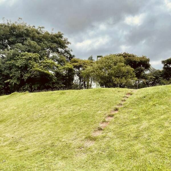The Way People Really Walk (22 pics)
