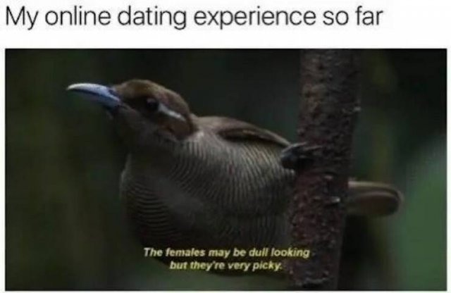 Truthful Jokes For Singles (25 pics)