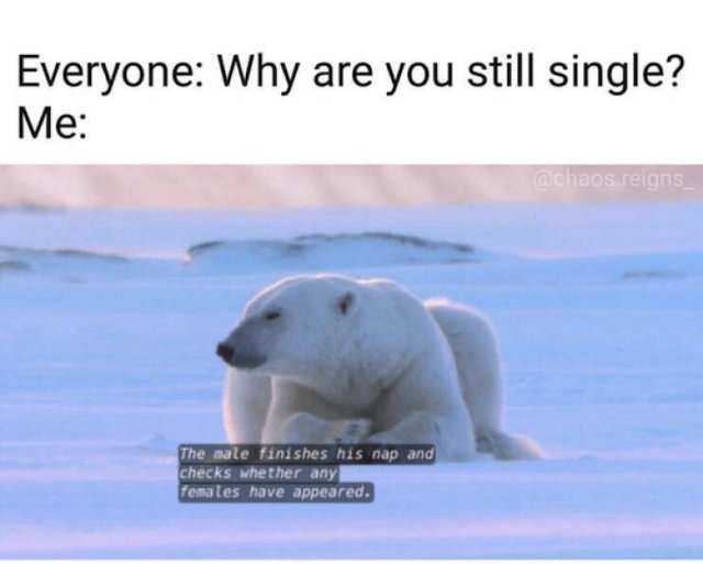 Truthful Jokes For Singles (25 pics)