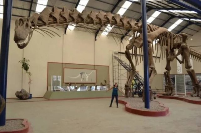 Incredibly Giant Things (15 pics)