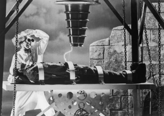 Facts About Classic ''Frankenstein'' (19 pics)