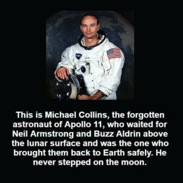 Interesting Facts (24 pics)
