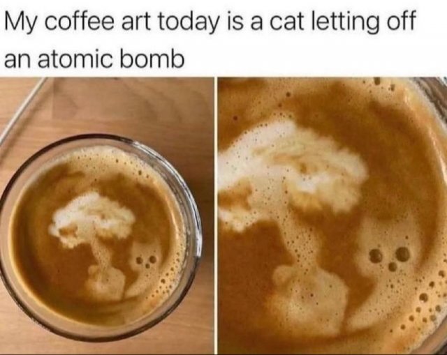 Funny Cats (29 pics)
