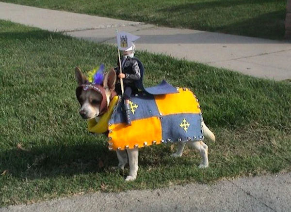 Pets That Are Ready For Halloween (20 pics) Pets That Are Ready For Halloween (20 pics)