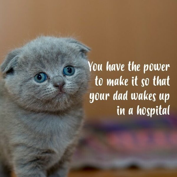 Failed Motivational Quotes (28 pics)