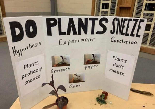 Random Jokes (27 pics)