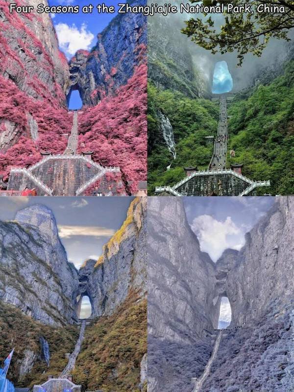 Girls And Nature (27 pics)