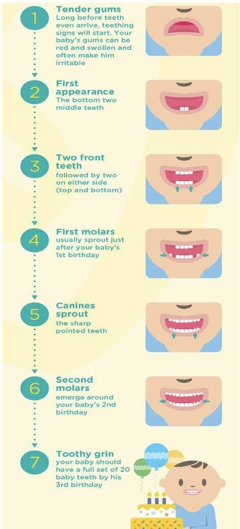 Useful Infographics For Parents (25 pics)