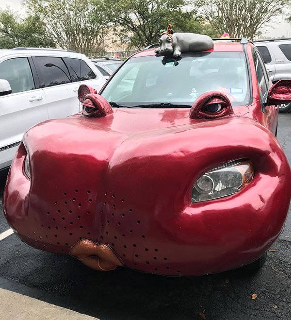 Crazy Cars (30 pics)