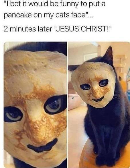 Strange Finds And Situations (44 pics)