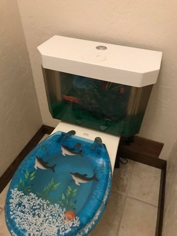 Strange Finds And Situations (44 pics)