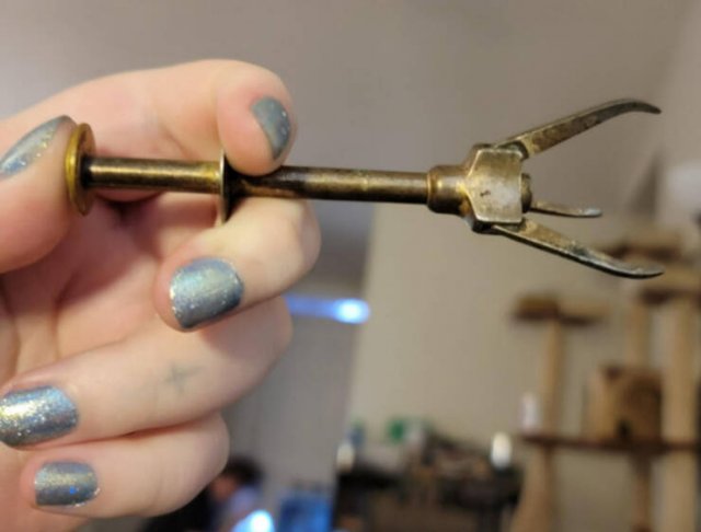 What Are These Things? (21 pics)