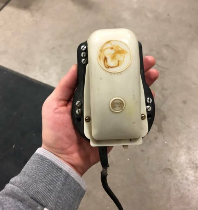 What Are These Things? (21 pics)
