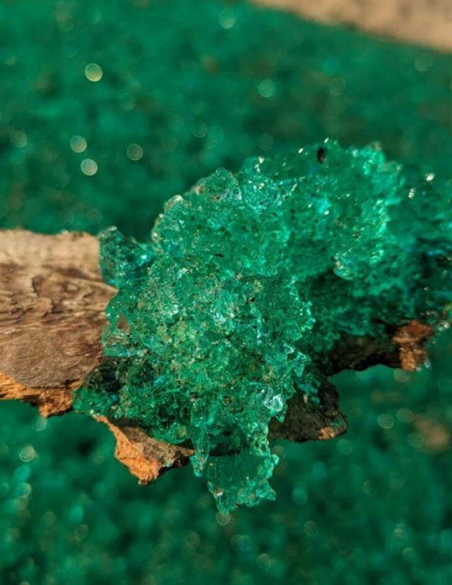 What Are These Things? (21 pics)