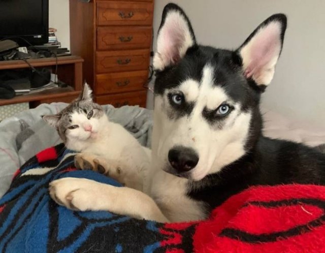 Unexpected Friendship (17 pics) Unexpected Friendship (17 pics)