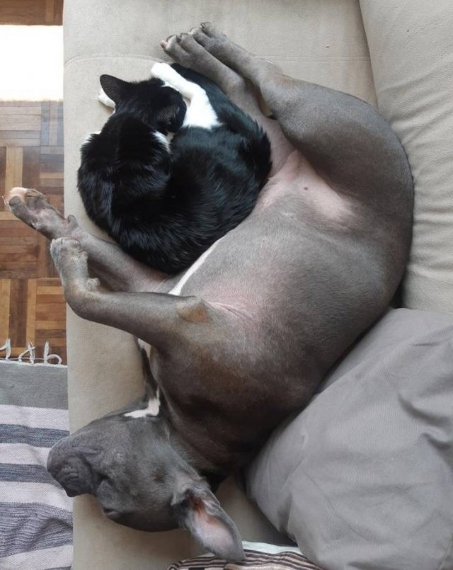 Unexpected Friendship (17 pics) Unexpected Friendship (17 pics)