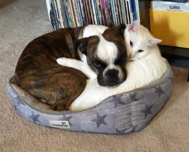 Unexpected Friendship (17 pics) Unexpected Friendship (17 pics)