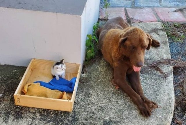 Unexpected Friendship (17 pics) Unexpected Friendship (17 pics)