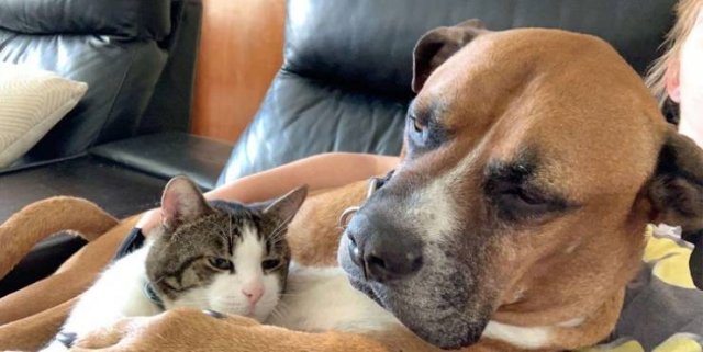Unexpected Friendship (17 pics) Unexpected Friendship (17 pics)