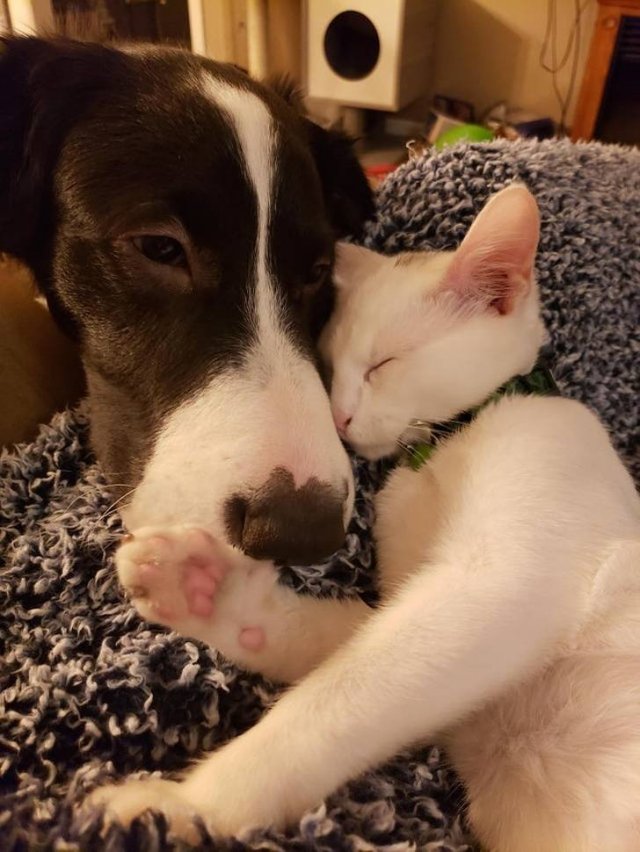Unexpected Friendship (17 pics) Unexpected Friendship (17 pics)