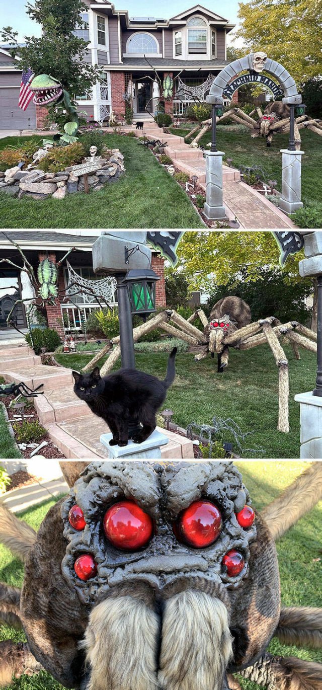 Cool Halloween Decor (22 pics)