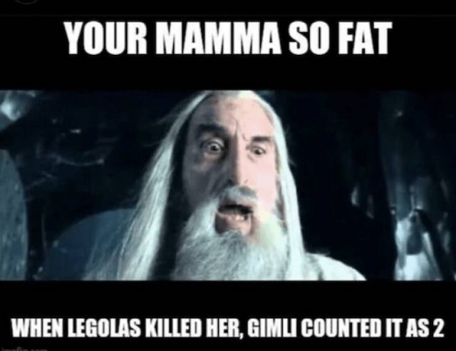 ''LOTR'' Memes (22 pics)