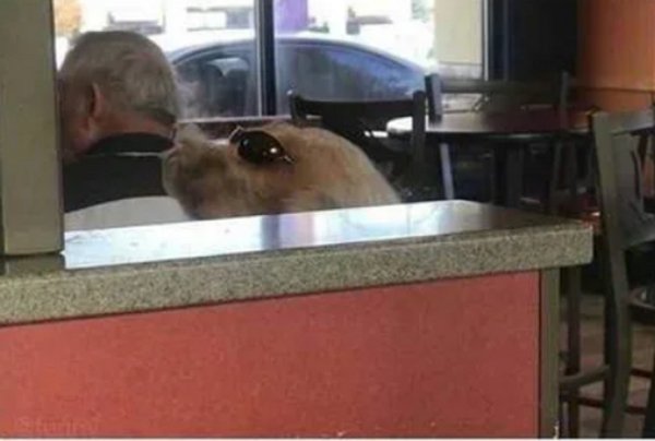 Curious Coincidences (18 pics)