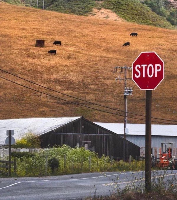 Curious Coincidences (18 pics)